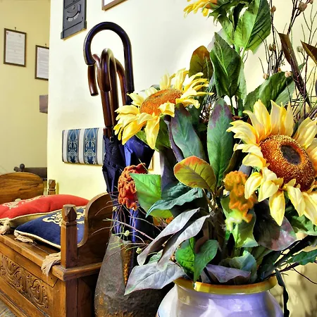 Bed & Breakfast L'alloggio Dei Vassalli